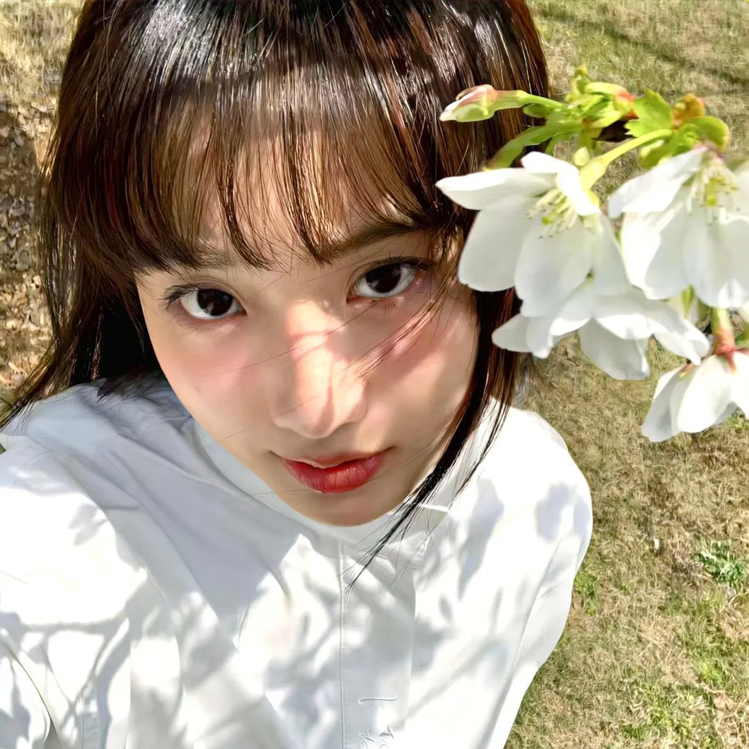 小蜜蜂 勇气的旋律