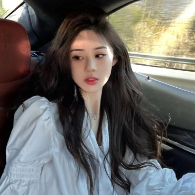 游击飞行中队